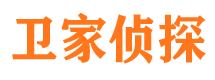 隆子市侦探公司